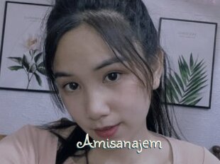 Amisanajem
