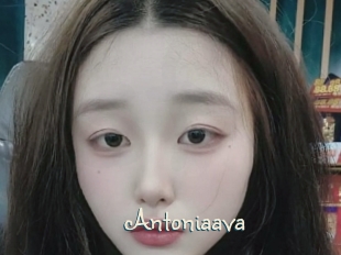 Antoniaava