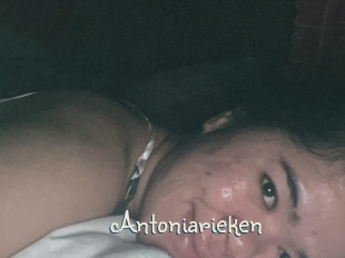 Antoniarieken
