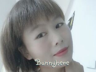 Bunnyhere