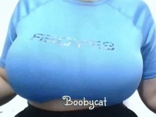 Boobycat