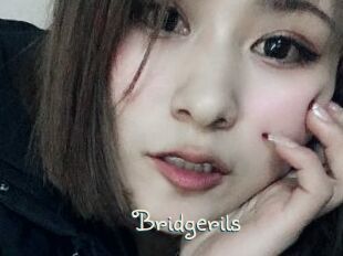 Bridgerils
