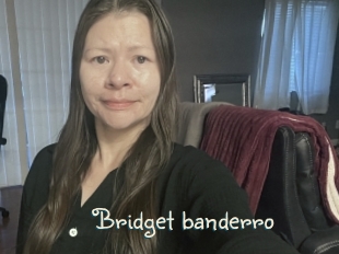 Bridget_banderro