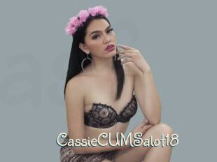 CassieCUMSalot18