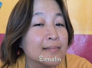 Elenatin