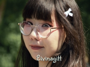 Elvinagitt