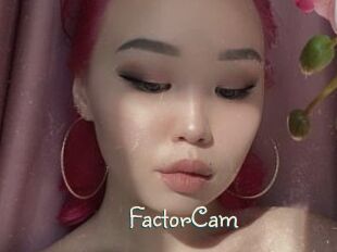 FactorCam