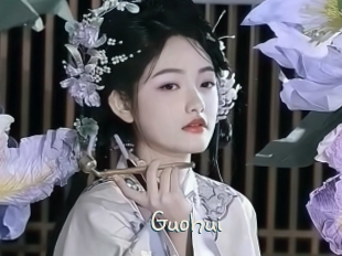 Guohui