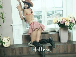 HotInsu