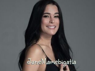 JaneMariebigatla