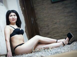 LinaFeiX
