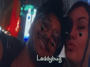 Laddybug