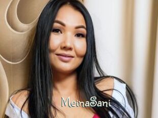 MeinaSani