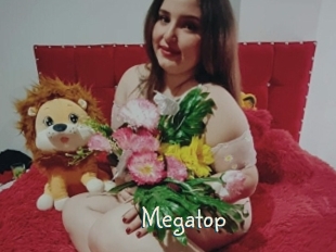 Megatop