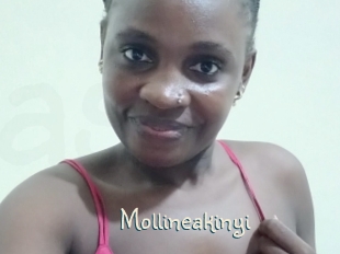 Mollineakinyi