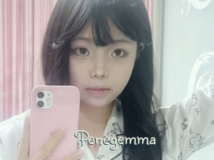 Penegemma
