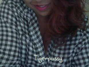Tigerpussy