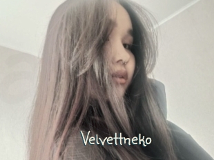 Velvettneko