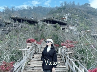 Vicion