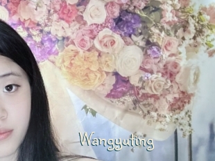 Wangyuting