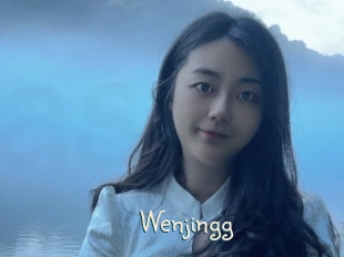 Wenjingg