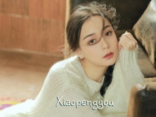 Xiaopengyou