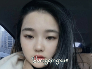 Yangqingxue