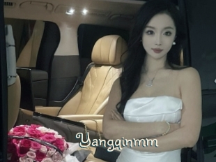 Yangqinmm