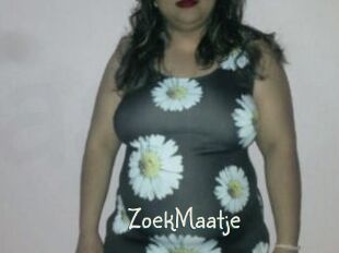 ZoekMaatje